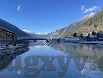 av基地网站麻豆-麻豆——虚拟世界中的真实面孔