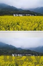 大象传媒视频链接-大象传媒，视频链接的创意与传播力量