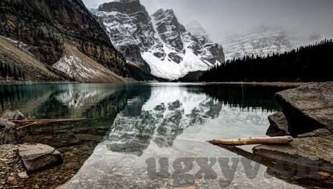 果冻麻豆传媒-果冻麻豆传媒，新媒体环境下的视觉盛宴与艺术创新
