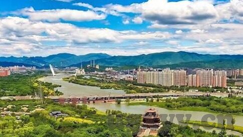 麻豆av正在播放-与其对生活的偏激影响，与麻豆AV相关的深思