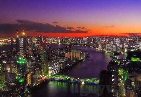 麻豆日记aPP下载苹果-麻豆日记APP下载苹果的探索之旅