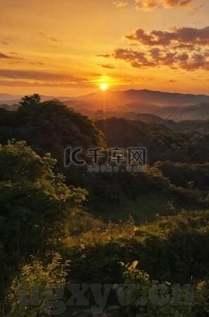 谁有麻豆传媒资源-谁有麻豆传媒资源，辨识网络信息的真伪与个人隐私的考量